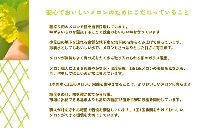 【お食事券】2名様分 農家カフェで味わうメロンパフェとメロン紅茶セット チケット