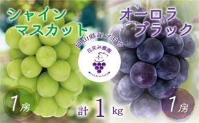 【2026年先行予約】岡山 花笑み農園の『シャインマスカット＆オーロラブラック』 1㎏（2房） 【hana067-02】