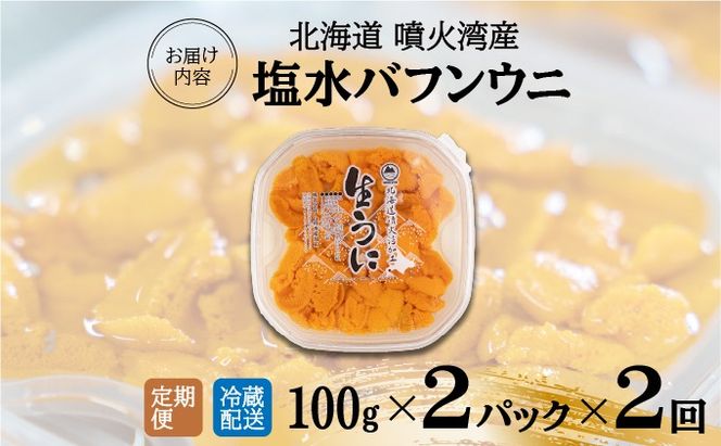 【定期便2カ月】北海道 噴火湾産 塩水 バフンウニ 100g 2パック うに ウニ 雲丹 海鮮 海の幸 魚介類 ウニ丼 お寿司 濃厚 無添加 産地直送 産直 お取り寄せ 山村水産 送料無料 【55250990】