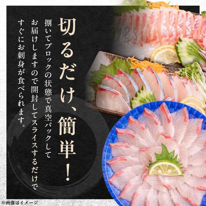 7種類から選べる！生産者が本気でこだわった冷凍刺身(刺身用ブロックセット) 6パック N015-YB632