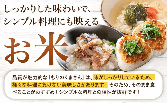 米 もりのくまさん 米 選べる 内容量 計5kg 計10kg 《30日以内に出荷予定(土日祝除く)》 お米 こめ 熊本県産 精米 ブランド米 ご飯---mifune_nsm_4_5m---