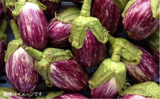 【 全3回 定期便 】 朝採れ 温野菜＆生食野菜セット （ 6品 前後 ） 《糸島》【オーガニックナガミツファーム】 	[AGE019]