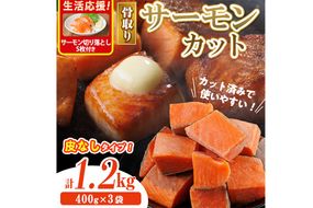 生活応援 サーモン切り落とし5枚付き！骨取り 皮なし サーモン カット(計1.2kg・400g×3袋) 鮭 ダイスカット 小分け 骨とり 骨なし 骨取り済 カット済 簡単 魚 冷凍 お弁当 おかず 【AW-79】【丸正水産】