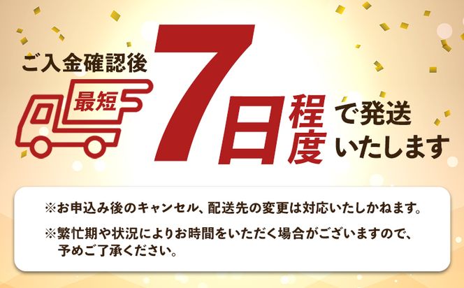 白焼き 国産うなぎ 高知県産 白焼き 5尾(100～110g×5尾) 合計500g以上 【7日程度で発送】 田野町完全天日塩 20g付き 黒箱 yw-0086