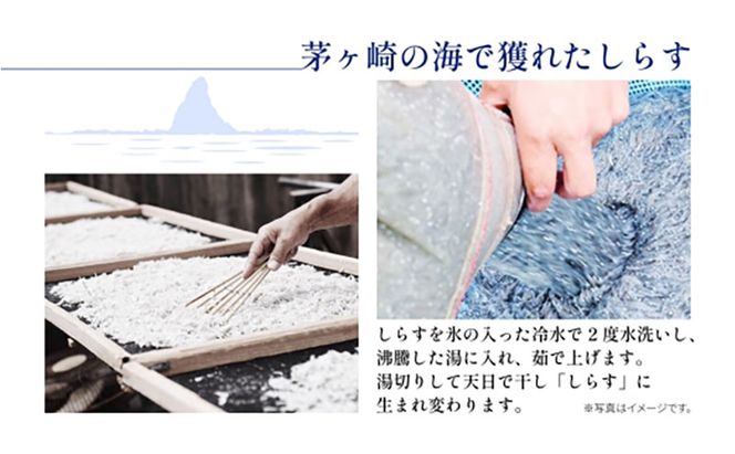 茅ヶ崎 しらす セット 生 新鮮 しらす 300g しらす かまぼこ 1本 あじ 3枚 とれたて 網元 船 茹で上げ ゆでる 天日干し 白 透明 湘南 相模湾 朝獲れ  食卓 干物しらす丼 ポン酢 卵 海 漁 湯切り おつまみ お酒 冷凍 神奈川県 茅ケ崎市