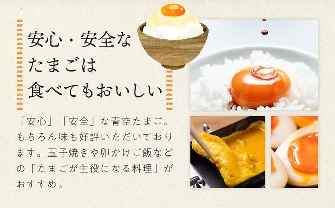 有田の青空たまご ササキのたまご Mサイズ 60個入   AS004