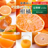 家庭用 柑橘定期便M（毎月）全12回 ［IKE307］ 303446_BB90216