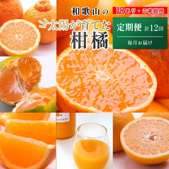 ya̎R쒬zƒp kMijS12 mIKE307n 303446_BB90216