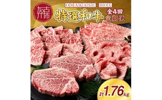 OMAKASE BOX 肉のまち加古川 プリンセス和牛定期便(全4回)《 肉 定期便 牛肉 ステーキ しゃぶしゃぶ すき焼き用 焼肉 おすすめ 贈答 プレゼント 》【2407A11504】