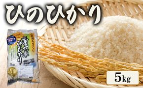 米 ひのひかり 5kg 筑前あさくら農協 お米 ヒノヒカリ
