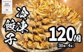 【茨城共通返礼品】＜2026年10月発送＞ ローズポーク使用 道の駅さかい 特製餃子 120個(冷凍) 国産 にんにく ぎょうざ 餃子 ギョーザ 小分け 冷凍餃子 冷凍ギョーザ 小分け  K1497