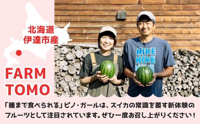 ＜先行予約＞北海道伊達産 小玉スイカ "ピノ・ガール" 【tom-001】