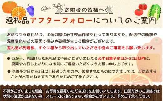 【果汁たっぷり】迫力満点！ 大粒 完熟有田みかん 家庭用 サイズ混合(2L～4L)　約2.7kg(2.5kg+200g)【2026年11月中旬～1月中旬頃に順次発送予定】【ard054D】