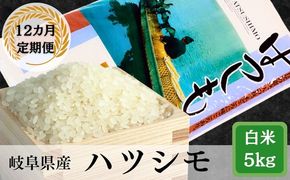 AK-19 【12か月定期便】岐阜ハツシモ5kg