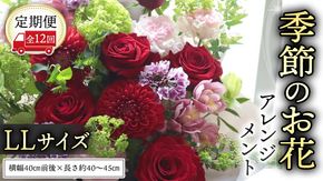 【 定期便 12か月 】季節の お花 の アレンジメント LL ギフト プレゼント 花 お祝い 贈答 記念日 フラワー  [CT144ci]