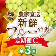 【定期便3回】契約農家直送の新鮮フルーツ定期便C（フルーツ 果物 くだもの マンゴー アップルマンゴー ブドウ ぶどう メロン 定期便）