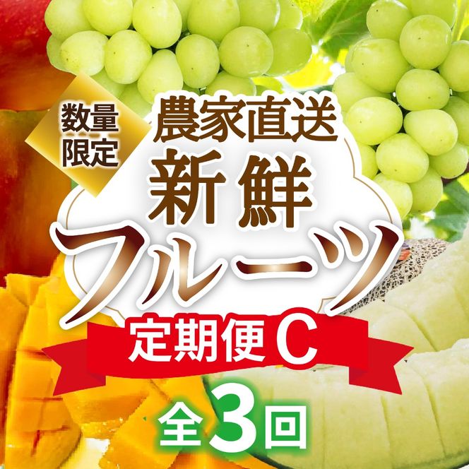 【定期便3回】契約農家直送の新鮮フルーツ定期便C（フルーツ 果物 くだもの マンゴー アップルマンゴー ブドウ ぶどう メロン 定期便）