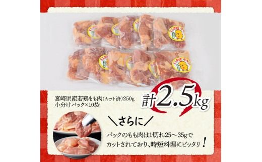 【小分け】宮崎県産若鶏　もも肉2.5kg（250g×10袋） 【 肉 鶏肉 精肉 小分け 便利 若鶏 もも 九州産 宮崎県産 川南町 おうちごはん 送料無料 】 [C06901]
