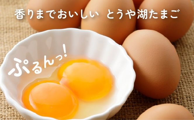 【3ヵ月 定期便】 北海道 伊達市 とうや湖 卵  20個 入り たまご