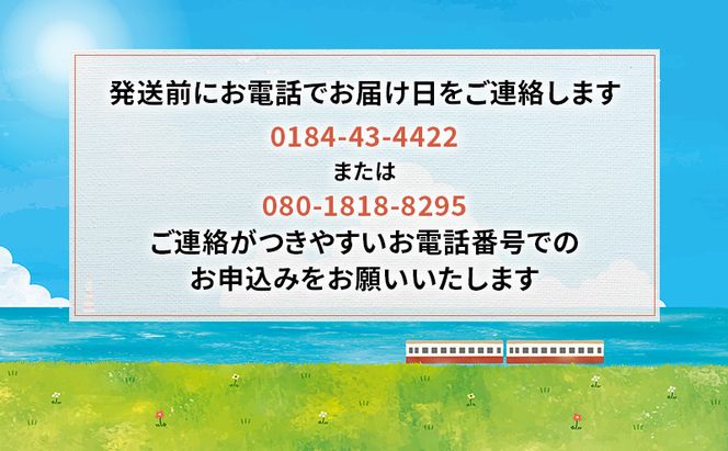 【先行予約 7月上旬～下旬発送予定】象潟産 天然岩牡蠣 8～10個 ナイフ無【牡蠣 夏牡蠣 かき 象潟 生食可 魚介類 海鮮　海産物 海の幸】　