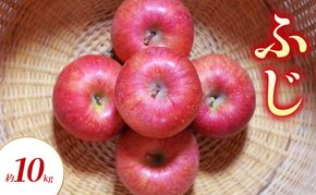 ふじ 約10kg りんご リンゴ 林檎 果物 フルーツ 長野県 長野 山ノ内町
