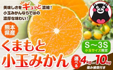 訳あり みかん 小玉みかん くまもと小玉みかん 4kg 10kg 秋 旬 不揃い 傷 ご家庭用 SDGs 小玉 たっぷり 熊本県 産 S-3Sサイズ フルーツ 旬 柑橘 熊本県産 温州 みかん 訳あり みかん みかん ゼリー みかん 大福 玉東 みかん 熊本 みかん フルーツ みかん [7-14日以内に出荷予定(土日祝除く)]---gkt_mkn_24_wx_4500_4kg---