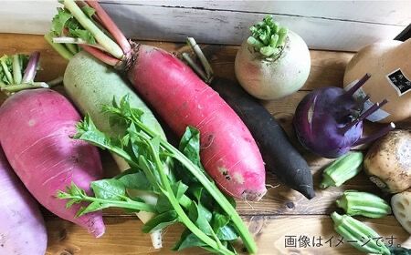 【全3回定期便】旬を味わう 糸島 野菜 セット 10～14種 （14パック） / イタリア野菜 オーガニック 野菜ソムリエ 松永 糸島市 / vegeLabo [AJB004]