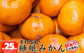 ［先行予約］訳あり それでも 熟成みかん 箱込2.5kg ( 内容量 2.3kg ) サイズミックス Ｂ品 有田みかん 和歌山県産 産地直送 家庭用 【みかんの会】 AX346
