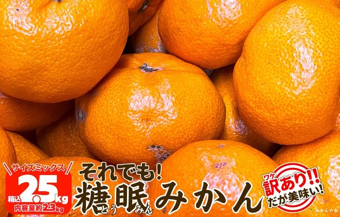 ya̎RLc쒬zms\n󂠂 ł n݂ 2.5kg ( e 2.3kg ) TCY~bNX ai Lc݂ a̎RY Yn ƒp ỷ݂z AX346