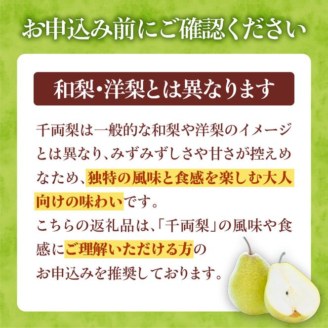 【2026年9月下旬以降発送】千両梨 5kg箱(10玉)北海道産 余市町産　シャキシャキとした食感とサッパリとした甘みが特徴 季節限定 千両梨 季節の味覚 5kg 箱 梨 ほぼ余市町でしか生産されていない 果物 フルーツ 贈り物 ギフト フルーツギフト お取り寄せ 北海道 余市町産 送料無料_Y015-0036