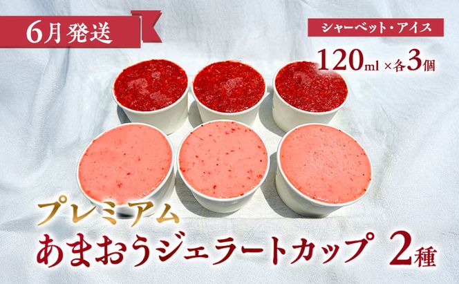【2027年3月上旬より発送開始】【予約受付・3回定期便】あまおう満喫セット ※配送不可：北海道・沖縄県・離島