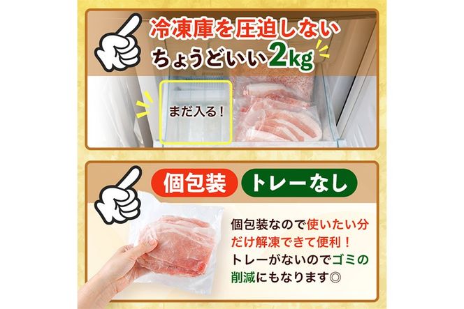 豚肉 定番 3種 セット (2kg) 切り落とし しゃぶしゃぶ こま切れ ミンチ 小分け 個包装 詰め合わせ 詰合せ 冷凍 食べ比べ 【BD326】【西日本畜産】
