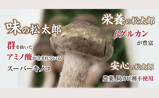 松太郎と松太郎ジャーキー詰め合わせ【夏季冷蔵便対応】-[G147-2]