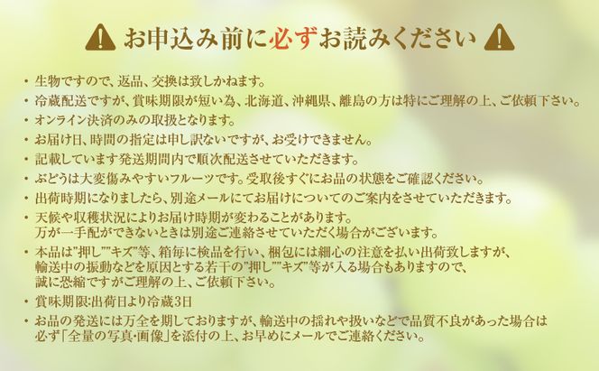 【2026年 先行予約】【訳あり品】 瀬戸ジャイアンツ 2房 合計約1kg 冷蔵配送 ぶどう 葡萄 フルーツ 果物 岡山 岡山のぶどう 食後 デザート 産地直送 皮ごと 酸味が少ない 爽やか 甘い 