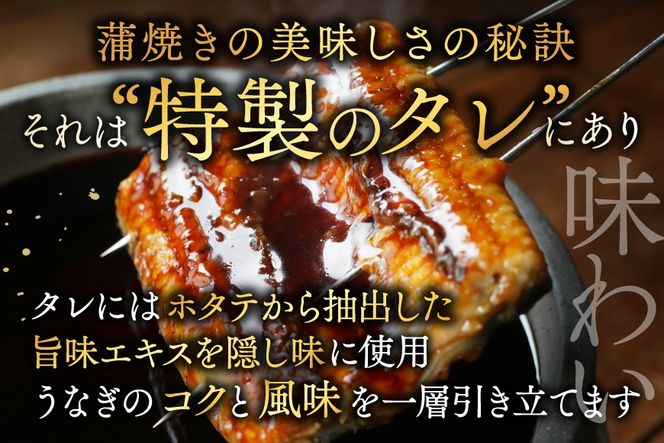 国産 希少 超極大 特上うなぎ(290g×2尾)【OT000O290】