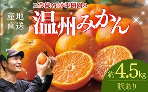 【先行予約】【訳あり】石本果樹園の美味しい温州みかん 約4.5kg 35～40玉前後【11月初旬から1月下旬までに順次発送】 / みかん フルーツ くだもの 果物 温州みかん【min020】