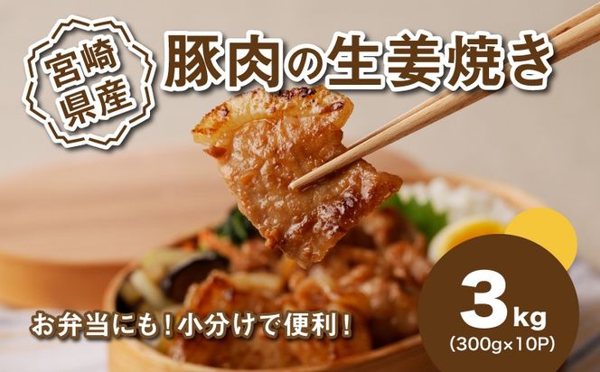 y{茧؏钬zȒP@{茧Yؓ̐IĂ 3kgi300g×10Pj K16_0147