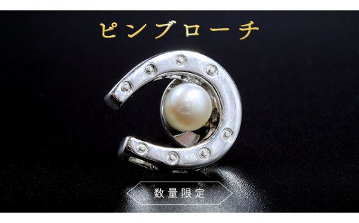 【 数量限定 】 ピン ブローチ アクセサリー ジュエリー レディース シルバー パール 記念 ギフト 贈り物 [BU005us]