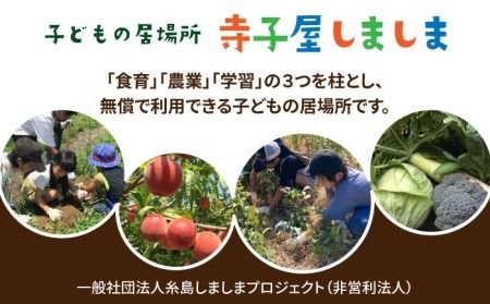 【ふるさと納税】糸島で農業体験(3名) 栽培期間中農薬不使用 無化学肥料 無除草剤の畑で野菜のお世話体験！ [AAL003]