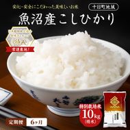 【6ヶ月定期便】特別栽培米 魚沼産こしひかり(十日町地域) 精米 10kg(5kg×2) 米 お米 コシヒカリ 定期 十日町市