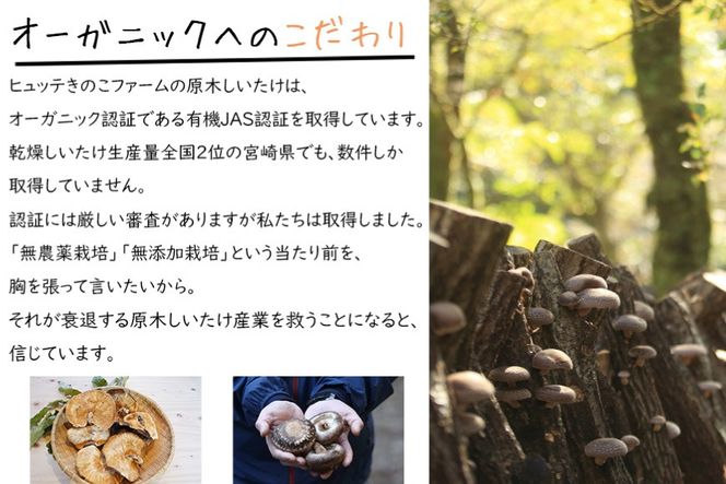 しいたけ 乾燥 ひとくち どんこ 30g 8袋 [HUTTE 宮崎県 美郷町 31ao0045] ふるさと納税 小分け シイタケ 有機JAS認証 乾燥椎茸 乾燥しいたけ 乾燥シイタケ 原木 原木椎茸 原木しいたけ 原木シイタケ 国産 国産しいたけ どんこ どんこ椎茸 煮物 料理