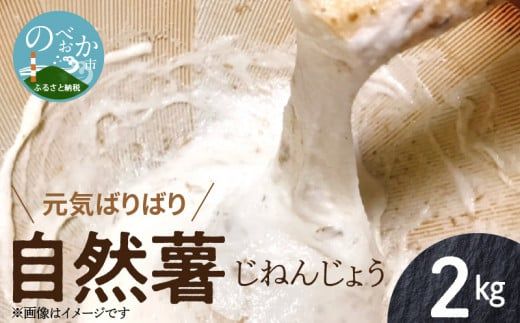 元気ばりばり　じねんじょう　自然薯　N020-YB354