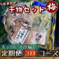 104-2839 【4ヶ月に1回定期便3回】厳選！小田原の旬の干物セット 梅【 まぐろや 神奈川県小田原市 】