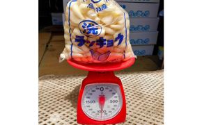 【鳥取県産】毎日の食卓に 洗いらっきょう 2kg 313726_BW025