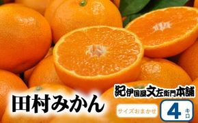 田村みかん 秀品 4kg サイズおまかせ/紀州和歌山有田郡湯浅町田村地区産 ◆2025年11月下旬～2026年1月中旬頃に順次発送(お届け日指定不可)　紀伊国屋文左衛門本舗【kztb307B】