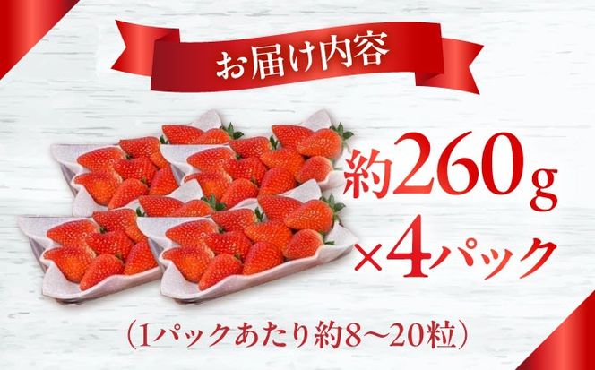 【2026年1月中旬〜発送】【数量限定】いちご「ゆめのか」 約260g × 4P / イチゴ 苺 フルーツ 果物 産地直送 朝摘み / 南島原市 / O' Berry![SGA001]