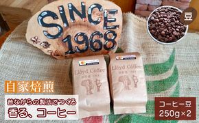 ロイドコーヒースペシャルブレンド（豆）500g（250g×2個）自家焙煎コーヒー