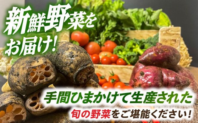 とくとく市場厳選 旬の野菜詰合せ セット 【有限会社FKMジャパンダイニング】 野菜BOX 旬 厳選 【配達不可：離島】[AEAE001]