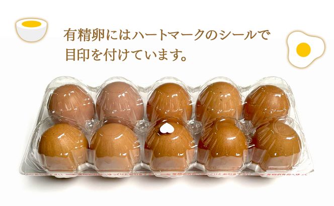 卵 こだわり餌の平飼い鶏の卵 20個(10個×2)パック(有精・無精卵各10個)Mサイズ以上 鶏卵 たまご 平飼い