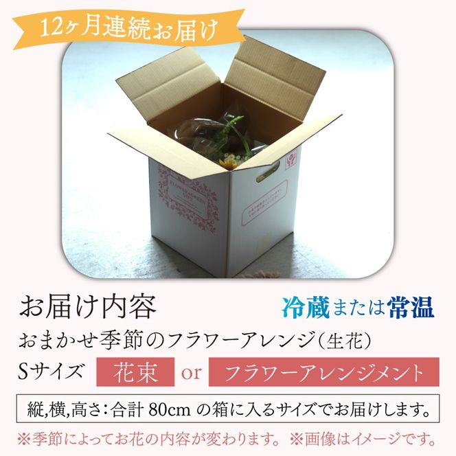 【定期便12回】母の日アレンジok おまかせ季節のフラワーアレンジ（生花）Ｓサイズ×12ヶ月 お好み 日時指定可能